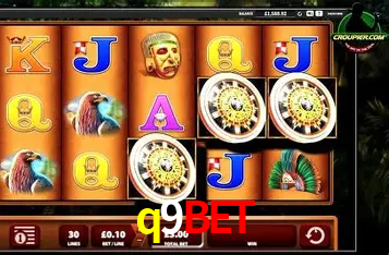 A Experiência Imersiva dos Cassinos Ao Vivo no q9bet