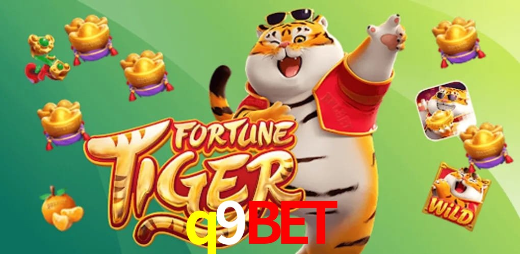 Experiência VIP q9bet